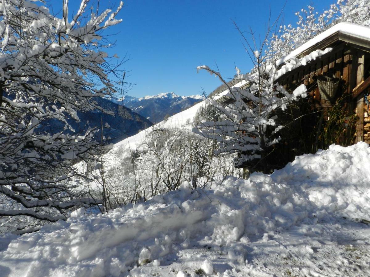 Appartamento Gedrarzerhof Luson Esterno foto